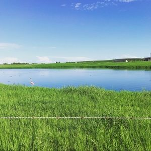 Meet your Posher, Jorge